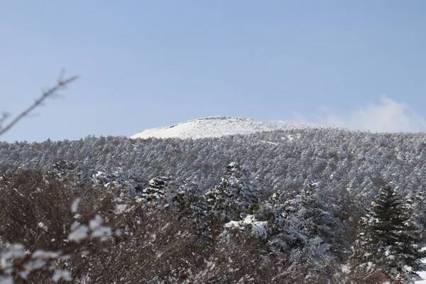 2025년 1월 14일 한라산에서 진달래밭 대피소로 이어진 길의 중간 오름인 사라오름에서 본 한라산 정상부. 맑고 쾌청한 날씨에 바람 없이 평온한, 산행하기 좋은 날씨였으나, 정상으로의 산행이 금지되었다.