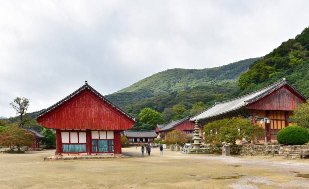 천년 고찰 선운사. <시인·사진작가 김판용 제공>