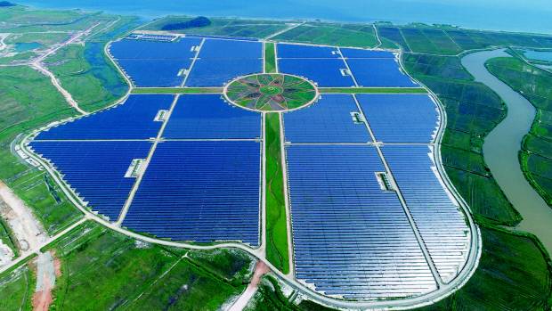 솔라시도 내 98MW 태양열 발전 설비와 식물이 식재된 해남 태양의 정원.