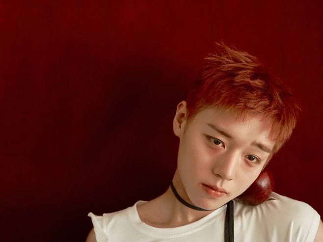 [사진 = YY엔터테인먼트 제공]