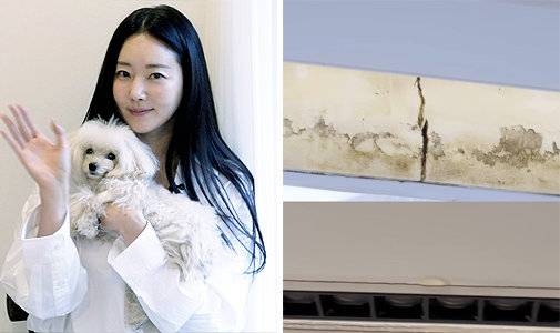 김사랑 SNS-유튜브 캡처