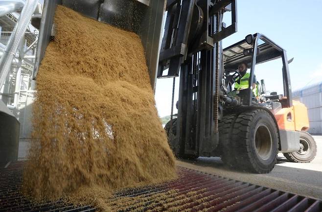 벼를 수매하는 모습. 뉴스1