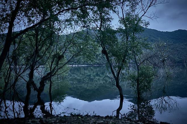 공포 영화 '살목지'는 괴담 마니아들 사이에 심령스폿으로 유명한 살목지가 배경이다. 사진 쇼박스
