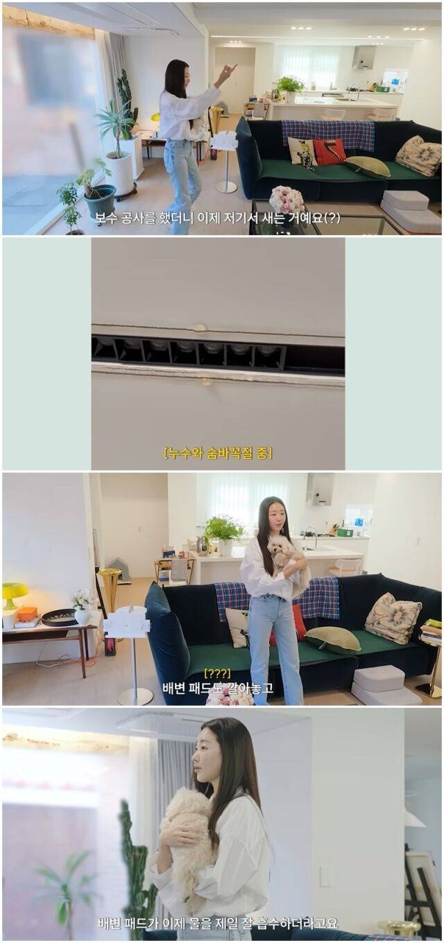 김사랑./유튜브