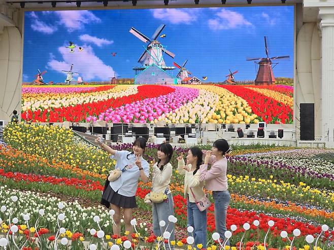 에버랜드 튤립 축제