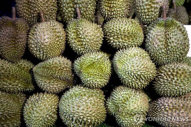 두리안 [EPA 연합뉴스 자료사진. 재판매 및 DB 금지]