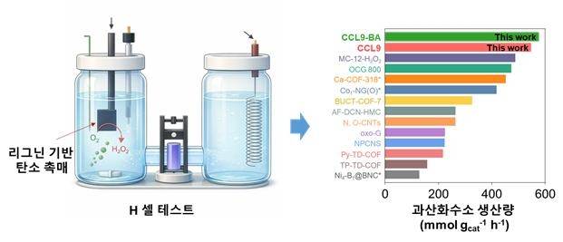 리그닌 기반 탄소 촉매 과산화수소 생산 성능 비교 [KIST 제공. 재판매 및 DB 금지]