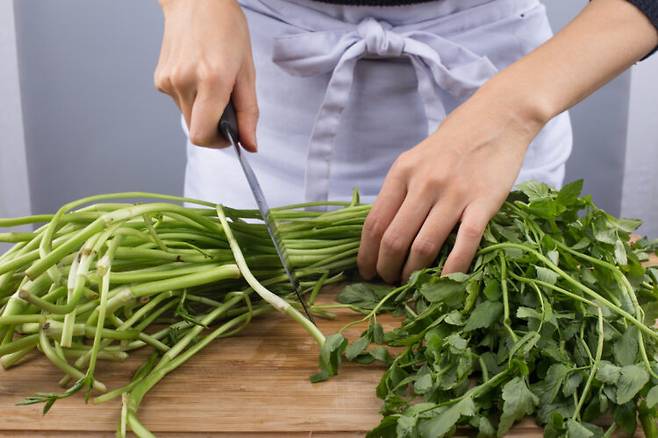 미나리는 수분과 식이섬유가 풍부해 체내 노폐물 배출을 돕는 식재료로 알려져 있다. 사진=클립아트코리아