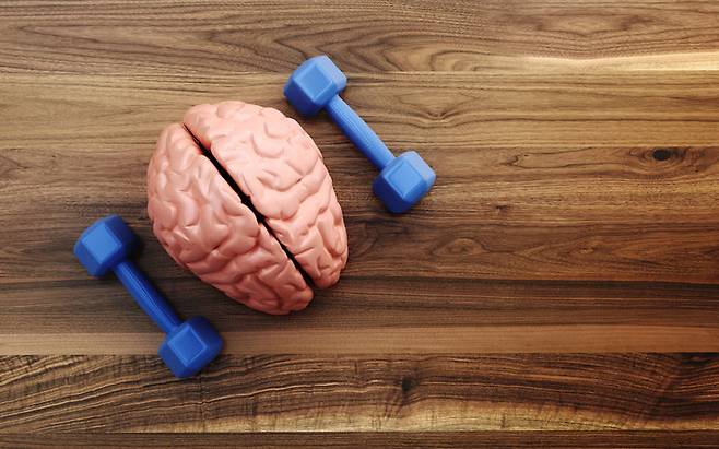 사진=게티이미지뱅크.