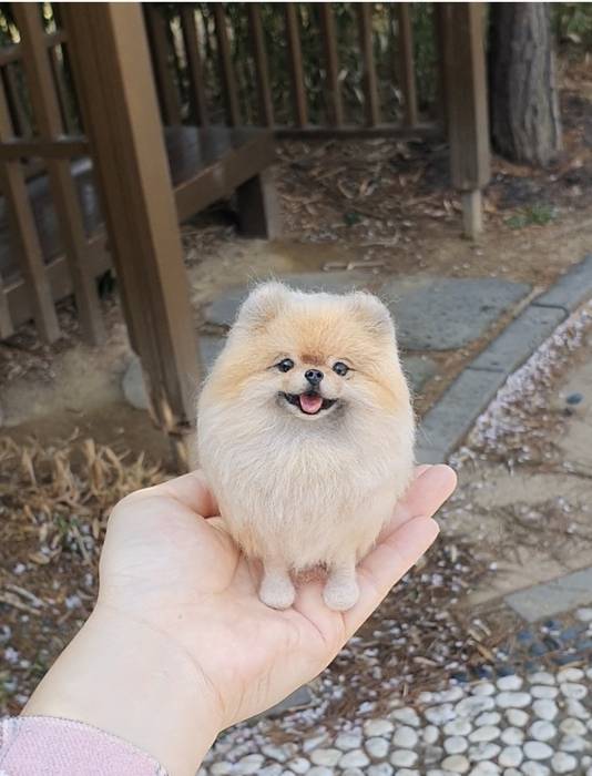 포근테라피 강아지 주문제작 인형