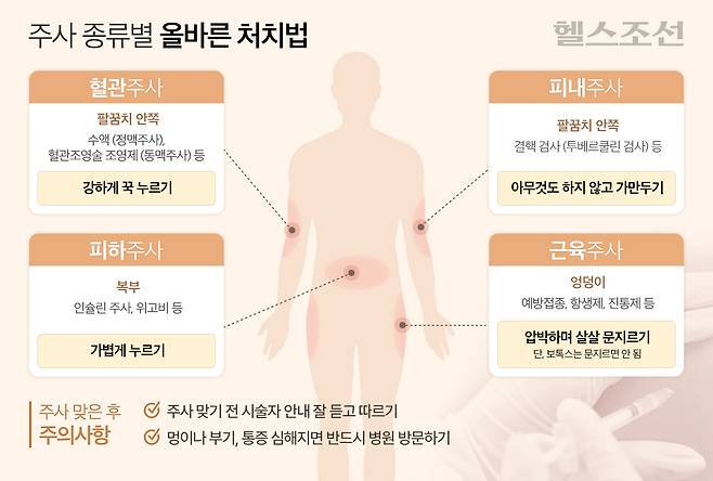 사진=그래픽=김남희