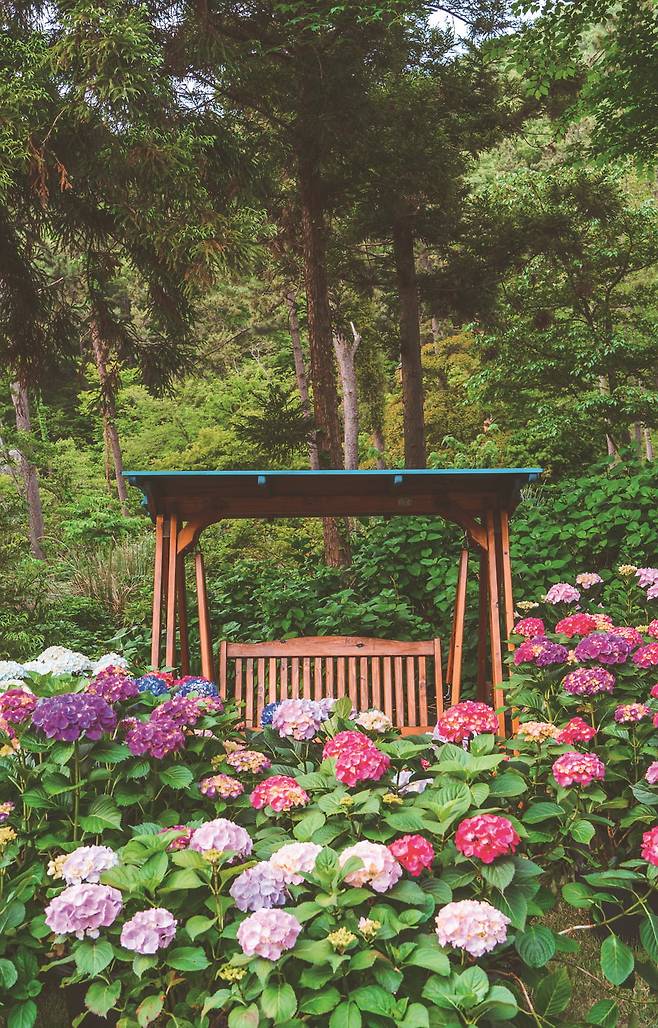 포레스트 수목원