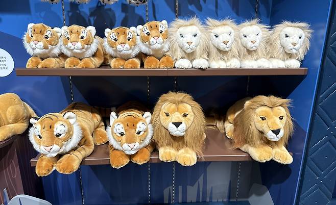 Merchandises available at Everland's Safari World merchandise shop [WOO JI-WON]