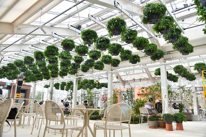 행잉플라워 등으로 꾸며진 정원지원센터와 카페 포레스트 내부 [노원구 제공. 재판매 및 DB 금지]