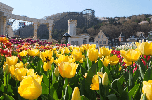 포시즌스 가든. 사진=에버랜드.