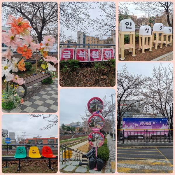 안성시 금석천에서 만나는 열흘간의 핑크빛 설렘, 안성3동 금석첨화 포토존. [사진=안성시]