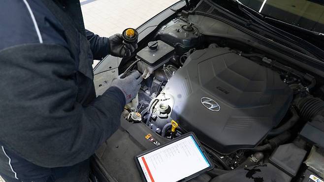 사진: 리본카 제공