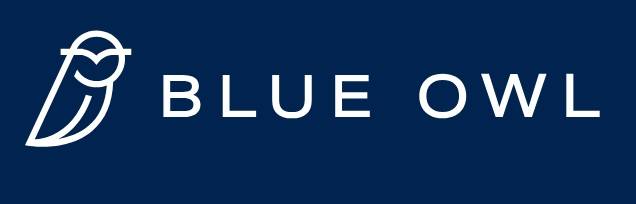 블루아울 로고. 홈페이지 캡처