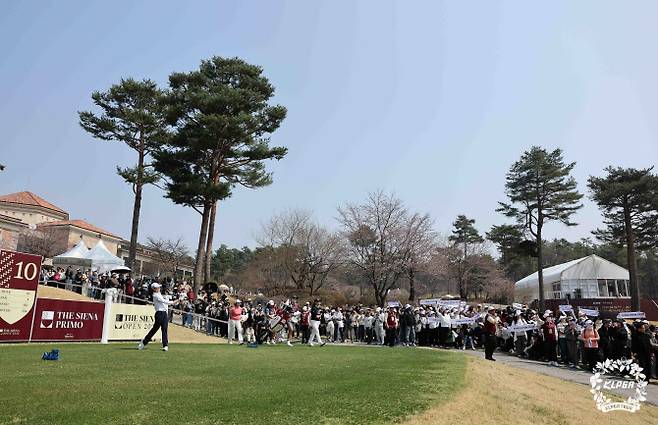 2일 경기 여주시의 더 시에나 벨루토 컨트리클럽에서 열린 KLPGA 투어 더 시에나 오픈 1라운드. 박성현의 티샷을 수많은 갤러리가 지켜보고 있다.(사진=KLPGT 제공)
