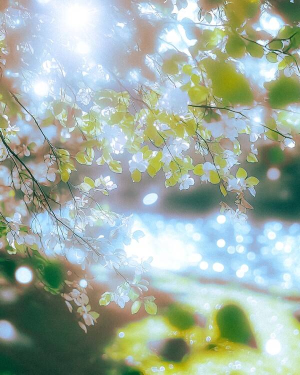 / 사진=아메바컬쳐