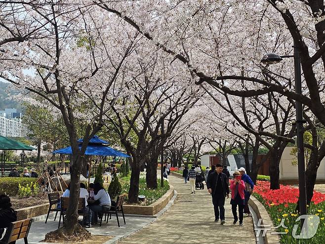 3일 경남 김해시 연지공원에서 나들이객들이 벚꽃을 감상하고 있다. 2026.4.3/뉴스1 박민석 기자