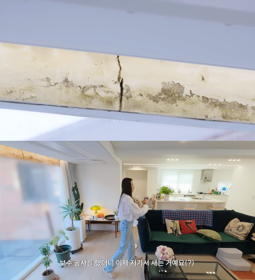 ⓒ유튜브 채널 '김사랑'