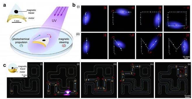 광화학 연료 방출 기반 마이크로 로봇 추진 및 자기장 방향 제어. (a)PET 필름 기판에 연료 운반 분자를 코팅하고 자성 입자를 포함해 마이크로 로봇을 제작했다. (b)물 위에서 자외선 조사로 연료를 방출해 로봇이 전진하며, 자기장으로 이동 방향을 제어한다. (c)자외선과 자기장을 조절해 마이크로 로봇이 복잡한 궤적을 따라 이동한다. 김형우 전남대 교수 제공