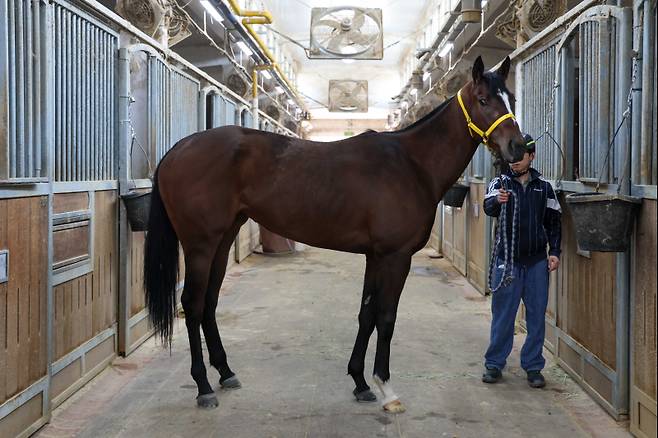 라온피날레. 사진=한국마사회
