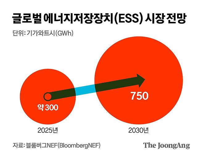 김영희 디자이너