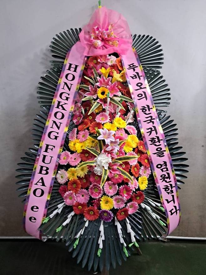 어느 푸바오 홍콩팬의 글귀(한글번역) ‘푸바오의 귀환을 염원합니다’