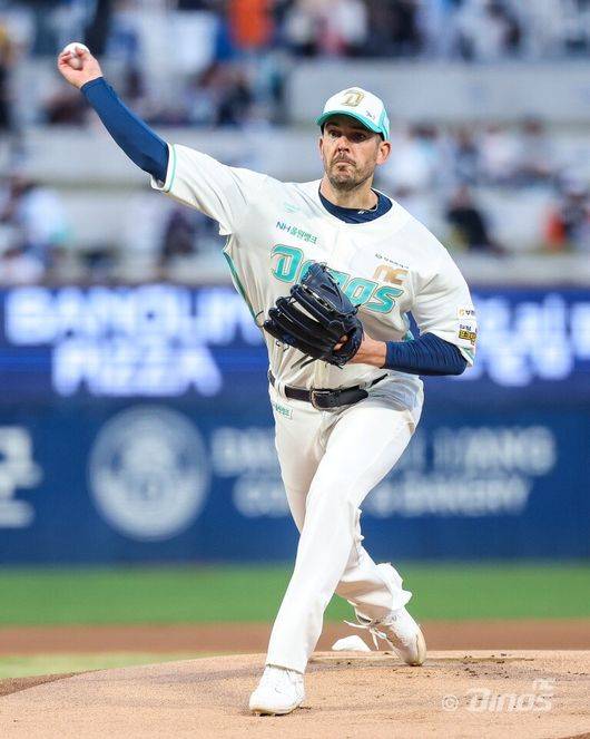 NC 다이노스 제공