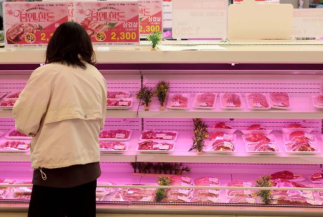 서울의 한 대형마트에서 시민들이 장을 보고 있다.(신태현 기자 holjjak@)