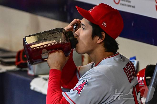 LA다저스에서 뛰고 있는 오타니 쇼헤이가 지난 2023년 로스앤젤레스 에인절스 시절 아메리칸 패밀리 필드에서 열린 밀워키 브루어스와의 경기 전 텀블러로 물을 마시고 있다. ⓒ 로이터=뉴스1