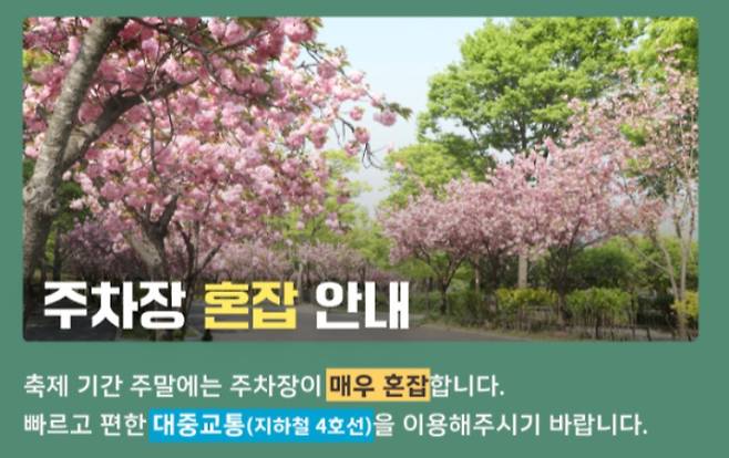 2026 서울대공원 벚꽃축제 주차장 매우 혼잡, 주차 주의 필요