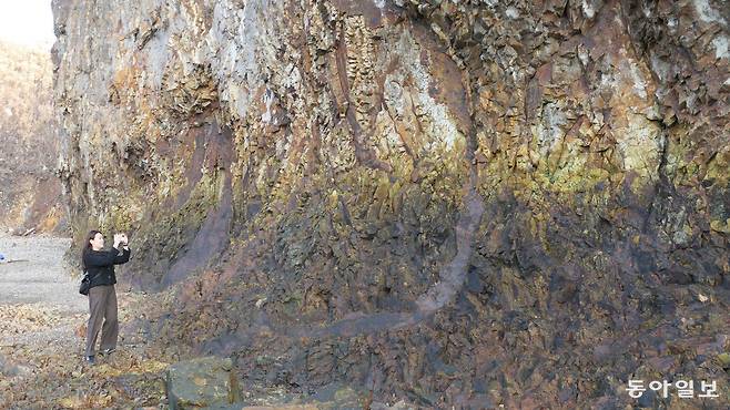 외변산 적벽강 절벽은 채석강과 달리 세로 방향으로 불그스름하고 누르스름하고 꽃자주빛 도는 절리가 석류알처럼, 말벌집처럼 빽빽하게 매달려 있는 듯하다.