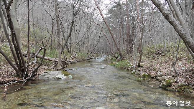 직소폭포를 지나 재백이고개로 향하는 약 1km 오솔길을 따라 흐르는 시내.