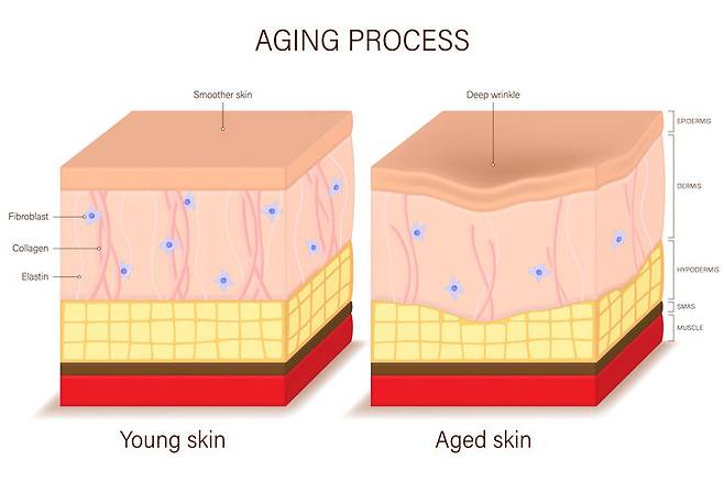 사진=게티이미지뱅크