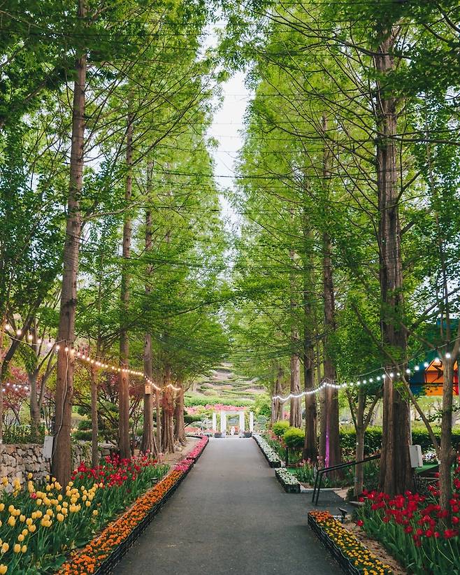 아산 피나클랜드 / 사진 = 아산시