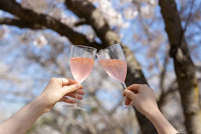 [서울=뉴시스]켄싱턴호텔 여의도가 본격적인 벚꽃 시즌을 맞아 도심 속에서 봄 정취를 만끽할 수 있는 '서울 벚꽃 여행' 패키지를 선보인다.(사진=켄싱턴호텔 여의도) *재판매 및 DB 금지