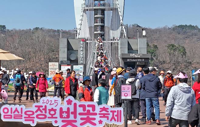 임실 옥정호 벚꽃 축제. 임실군 제공