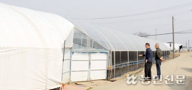 경기지역에서 농사를 짓는 임차농들이 농지 전수조사를 앞두고 시설하우스를 우려스럽게 바라보고 있다.