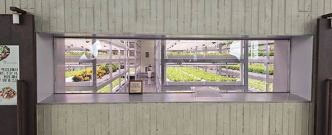 중앙 정원에서 스마트팜 내부를 볼 수 있도록 설계했다. 박윤희 기자