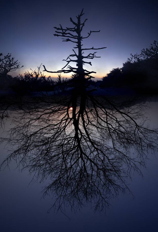 안예꽃의 작품. 부산갤러리 제공