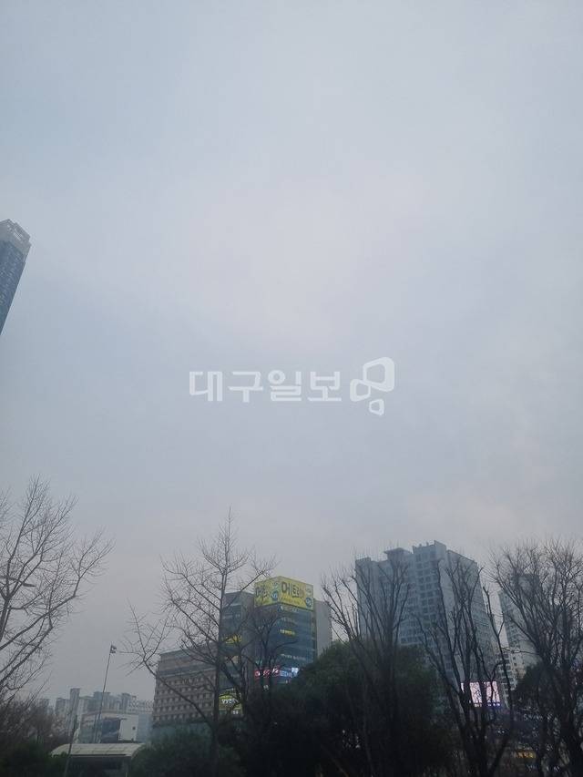 미세먼지가 가득한 하늘(박성윤 기자)