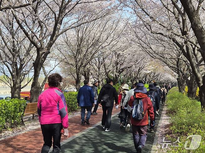 부산 사상구 삼락생태공원 일대. 2026.4.5/뉴스1 ⓒ News1 임순택 기자