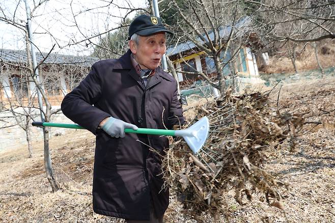 정성헌은 DMZ 일대 소문난 농사꾼이다. 겨우내 쌓인 마른 낙엽을 갈퀴로 긁어 퇴비로 만드는 작업을 하고 있다. /고운호 기자