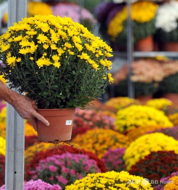 사진은 칼럼과 관련 없는 참고 이미지입니다. 사진제공=ⓒAFPBBNews = News1 (사진을 무단으로 사용하지 마십시오.)