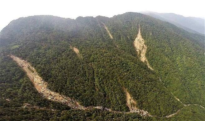 지리산 천왕봉 일대에서 발생한 산사태 모습. 사진 녹색연합