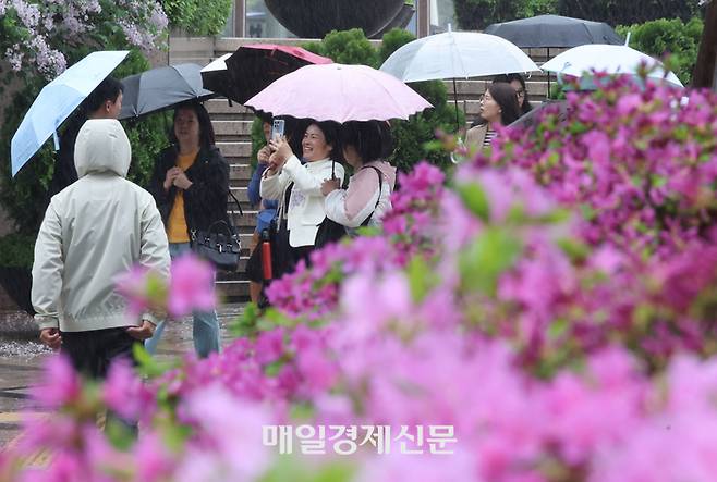 서울 광화문거리에서 시민들이 내리는 봄비 사이로 웃음꽃을 피우고 있다. [이충우 기자]