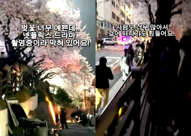 [온라인 커뮤니티 갈무리]